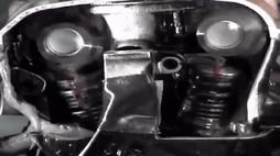 12367347_477399_36da2f7f69b234beb99c384826d5ac3a_wm.gif