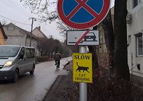 1765715356-pph-temp-fyyzog-jpg-20251214-1280-720-90-cr