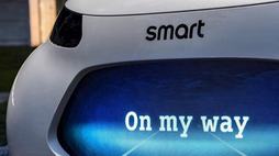 18152559_1108999_c835086291fd3f961079cf7d3d0e2706_wm.jpg