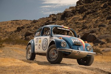 beetles-can-become-baja-bugs 100628970 l
