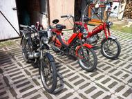 18194224 1343711932363382 7326282980002688024 n