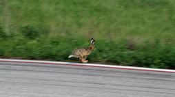 20110320_1268768_200ebafd511103be905339915dcd3532_wm.jpg