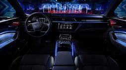 audi-e-tron-in-copenhagen