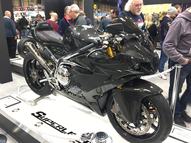 norton1