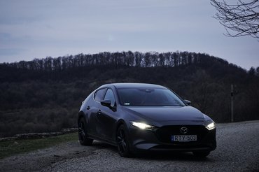 A hajnali szürkületben hátborzongató, ahogy púposkodik, ahogy méreget ragadozó szemeivel 