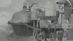 33295560_2551166_6d29ecae1556f0300be3fa0ed08fa6ac_wm.gif