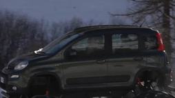 3618624_0f506091e3f7cb50cc9119bedf7a651c_wm.jpg