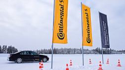 Kép: Göbölyös Zsolt