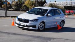 fabia moose