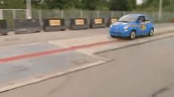 43016412_3283514_f6b4b0ec1473191a84bb2eeeaded11cd_wm.gif