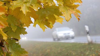 Reggelente már ködfoltokra is készülni kell Fotó: picture alliance/Getty Images