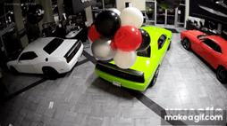 47861254_3648914_a5702ca1d60df477d26e334d0c9d4582_wm.gif