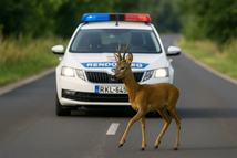 497a0a19-00b3-424f-8e91-8242875509c6