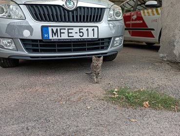 361890257 625181179711400 3282058948876538466 n