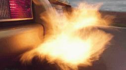 50628401_3859823_aaaa4ca60e227d2f44685b8f2a372687_wm.gif