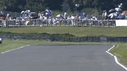 50872321_3878417_82ef62a5f9b2717d9e560895987e6fce_wm.gif