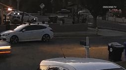 51275365_3909029_8d9dc357eec91d472195e36db89caa34_wm.gif