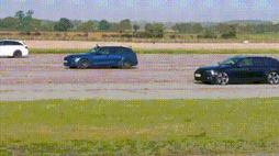 51633897_3935227_ca098e371dace9ceaa6bfe69b9b46b07_wm.gif