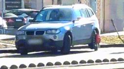 54584879_4033033_47e41a2d88ce2f54effc93fd4d20e1b9_wm.gif