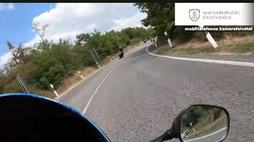 54840419_4052887_d4d44ce4bc896c54dd506c0dfb8b73c5_wm.jpg