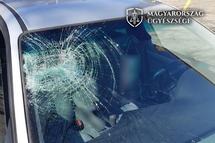 Forrás: Magyarország Ügyészsége