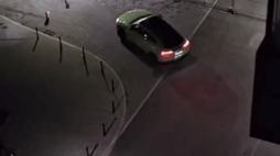 60207821_4452797_0c31a5ef409e91a9d0009bfb028904d7_wm.gif