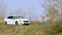 6030124_20124_77e46b34283eff4b1bb309a6c7a71dfc_wm.jpg