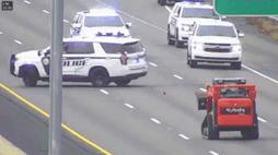 60490541_4473663_e7b6d5db0ee5956bf4404646fb40e77f_wm.gif