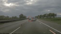 61858213_4576085_5a3c12b8cacf8214792664f16466f6a2_wm.gif