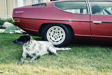 A fotók elkészítése során egyetlen állatnak sem esett bántódása.