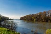 The river of Tisza near Csongrad in early March