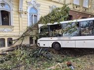 IMG-3bd89c411c7b63053930be74d90b1418-V