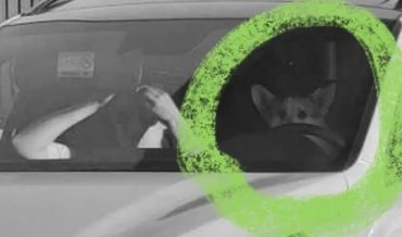 Képernyőkép 2025-09-16 113149