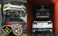 OPP-project-CHICKADEE-slide_result