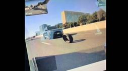 Screenshot 2025-08-11 130358