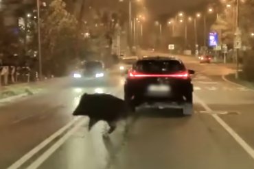 Screenshot 2025-12-03 at 7.38.47