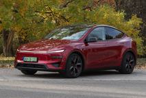 Tesla_Model_Y_Perform_nuIKCeA.2e16d0ba.format-jpeg.fill-1310x868