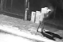 traffipax-kecskemét-festékspray-ügyészség-jó